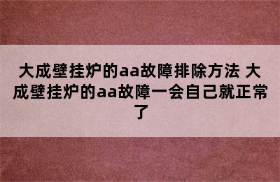 大成壁挂炉的aa故障排除方法 大成壁挂炉的aa故障一会自己就正常了